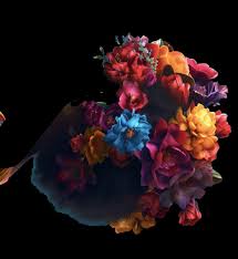 Sunlighting, Summer 2023 by Akers Media Group