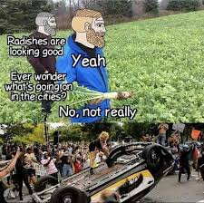 Maybe you would like to learn more about one of these? Reject Modernity Embrace Tradition 9gag