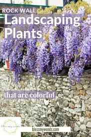 We did not find results for: The Perfect Rock Wall Landscaping Plants Bless My Weeds