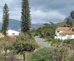 Image result for Dierama cupuliflorum