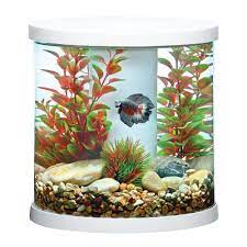 We unbox and take a quick look at the petsmsart top fin bettaflo filter bf5. Top Fin Bettaflo Trade Soothe Trade Betta Aquarium 3 5 Gallon Fish Starter Kits Petsmart