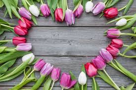 Flowers That Represent Death Flower Meaning