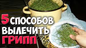 Chem Lechit Gripp 5 Sposobov Lecheniya Grippa V Domashnih Usloviyah Youtube