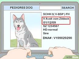 3 Ways To Read A Dogs Pedigree Wikihow