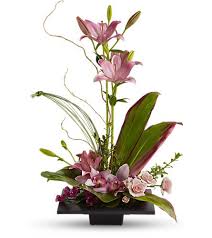 Последние твиты от bloom fresh flowers (@bloomfreshflwrs). Imagination Blooms With Cymbidium Orchids In Alexandria Va The Virginia Florist
