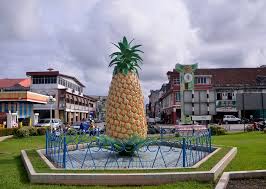 It is conferred to those who rendered excellent service towards the development of the state of sarawak and malaysia. Sarikei Wikipedia Bahasa Melayu Ensiklopedia Bebas