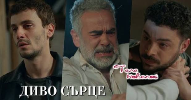 Утре във финала на сезона на "Диво сърце": Аборт; Яман и Серхан се борят и  прострелян се оказва (8 юни)  https://tvnovellas.blogspot.com/2026/06/8_01621677216.html