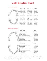 Tooth Number Chart Adults Complete Wisdom Tooth Number