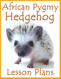 Hedgehog Biology Mini Unit Lesson Plan Classroom Pets Mini Units How To Plan