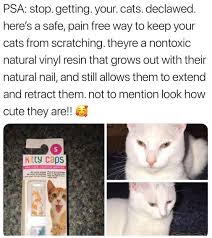 They Have So Many Colours We Had Some Red And Green Glitter Ones For My Cat For Christmas Best Pets For Kids Cats Animals For Kids