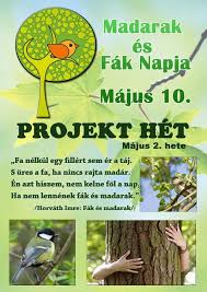 Eddig 1292 alkalommal nézték meg. 230 Madarak Es Fak Napja Ideas In 2021 Madarak Fak Kreativ