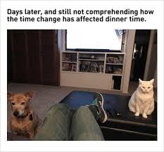 Funny How Those Internal Clocks Work Funny Animals Funny Animal Pictures Animal Pictures