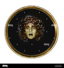 Image result for Centrostigma occultans