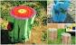 Tree Stump Landscaping
