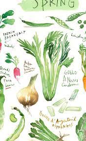 Spring Vegetable Kitchen Art Print Green Kitchen Decor Organic Kitchen Wall Art Seasonal Poster Watercolor Painting Eat Veggies Food Art Decoracion De Cocina Colorida Ilustracion De Hortalizas Arte De Cocina