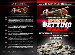 Spending the day at a a: Amazon Com Sports Betting Whale How I Made Over 30 Million Dollars From Betting On Sports Ebook Whale The Kindle Store