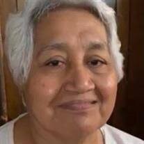 Maria Del Carmen Zavala Obituary