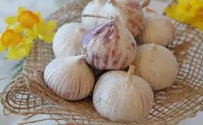 Oleh itu, makan satu sudu campuran madu asli dan bawang putih cincang setiap pagi sebelum sarapan. Ajaib 1 Siung Bawang Putih Campur Madu Khasiatnya Genpi Co