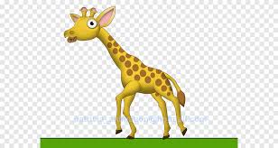 How to draw a cute cartoon giraffe step by step! Baby Giraffes Animation Drawing Cartoon Giraffe Mammal Animals Png Pngegg