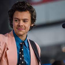 Die sunday times schätzte das vermögen des multitalents 2020 auf rund 70 millionen euro. Harry Styles Reschedules European Tour For 2021 Pitchfork