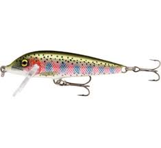 Top 5 Best Trout Lures Trout Fishing Tips Rainbow Trout Rapala