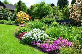 17 Schone Straucher Fur Kleine Garten In 2020 Ziergarten Gartengestaltung Straucher Garten