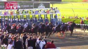 While waiting for the start of the 145 th preakness (g1), post time is scheduled for 5:36 p.m. California Chrome Wikipedia