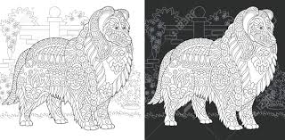 Sure, dog cafés are awesome, but if you love huskies above all other pups, there&aposs only one you need to visit. Dog Coloring Page Coloring Book Royalty Free Cliparts Vectors And Stock Illustration Image 110556346