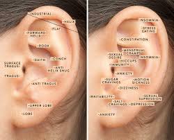 Are Your Trendy Ear Piercings Helping You On A Wellness Level