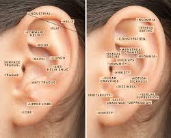 are your trendy ear piercings helping you on a wellness level