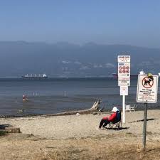Spanish Banks Beach Dog Off Leash Park 2019 All You Need