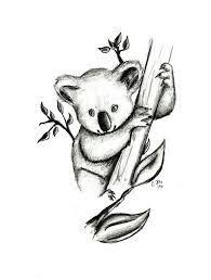Image Result For Koala Outline Koala Drawing Koala Tattoo Koala Illustration
