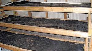 Check spelling or type a new query. Business Spotlight Red Wiggler Farm The Covington News