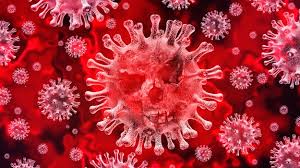 Image result for coronavirus