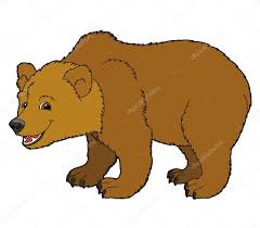 Resultado de imagen de oso dibujo