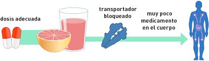 Resultado de imagen para "“El jugo de toronja puede hacer que menos fexofenadina entre en la sangre”, lo que disminuye la eficacia del medicamento, indica la Dra. Huang. La fexofenadina (marca Allegra) está disponible tanto con receta como sin ella para aliviar los síntomas de las alergias estacionales. La fexofenadina también puede ser menos eficaz si se toma con jugo de naranja o de manzana, por lo que la etiqueta del medicamento indica: “No tomar con jugos de fruta”."