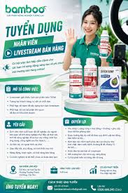 Stazole top 650WP