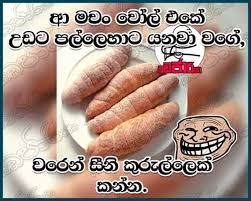 Maybe you would like to learn more about one of these? Facebook Comments Circulating Around These Days About Provincial Dialogues In Sri Lanka Gossip Lanka News English