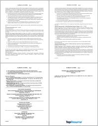 Resume formats chronological resume functional resume summary, objective. Top Resume Tips For Writing A Federal Resume Topresume
