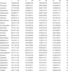 Image result for Otiophora