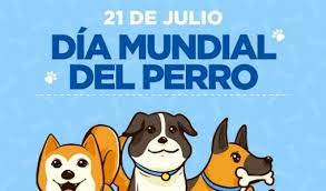 Esto se sustenta científicamente en el análisis de las emociones de miles de personas durante este día en específico. Feliz Dia Del Perro Conoce Las Razas De Caninos Mas Caras Del Mundo Almomento Noticias Informacion Nacional E Internacional