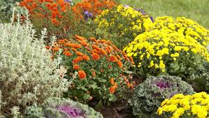 We did not find results for: Plan For Your Fall Garden In Spring Royal Examiner