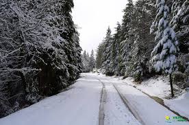 Photos, address, and phone number, opening hours, photos, and user reviews on yandex.maps. Neve Transformou Aldeias De Vieira Do Minho Num Belo Postal Fotografico