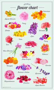 How To Decorate Your Cupcake As A Flower Using Frosting Surprisingly Easy Edible Flowers Recipes Flower Food Flower Chart