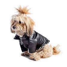 Zippers And Studs Biker Rocker Dog Leather Jacket In 2021 Rocker Dog Black Leather Moto Jacket Stud Dog