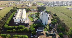 Images?q=tbn:ANd9GcS3LCc9bICyelpv9fXPuP6ykskybZtDyQNUAg&s