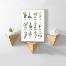 Kitchen Art Decoration Botanical Chart Wall Art Canvas Poster Prints Herbs And Spices Painting Picture Herbarium Home Wall Decor