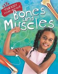 Flat bones include most of the bones of the skull and the. Bones And Muscles Theschoolrun