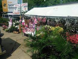 By using our website you consent to all cookies in accordance with our cookie policy. Ed S Garden Center 1720 New York Ave Ne Washington Dc 20002 Usa