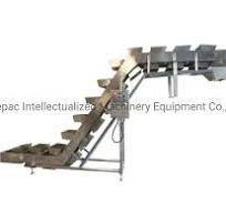 [Hot Item] 45 Degree Inclined Bowl Conveyor with Stainless Steel and CE Certification